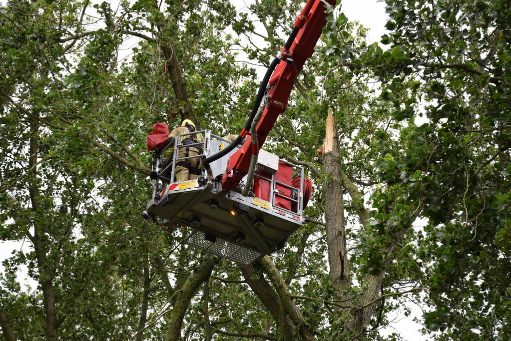 Brandweer ingezet voor afgebroken boom