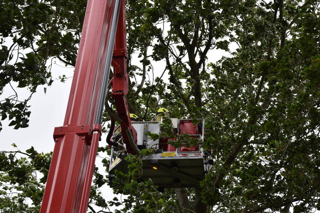 Brandweer ingezet voor afgebroken boom