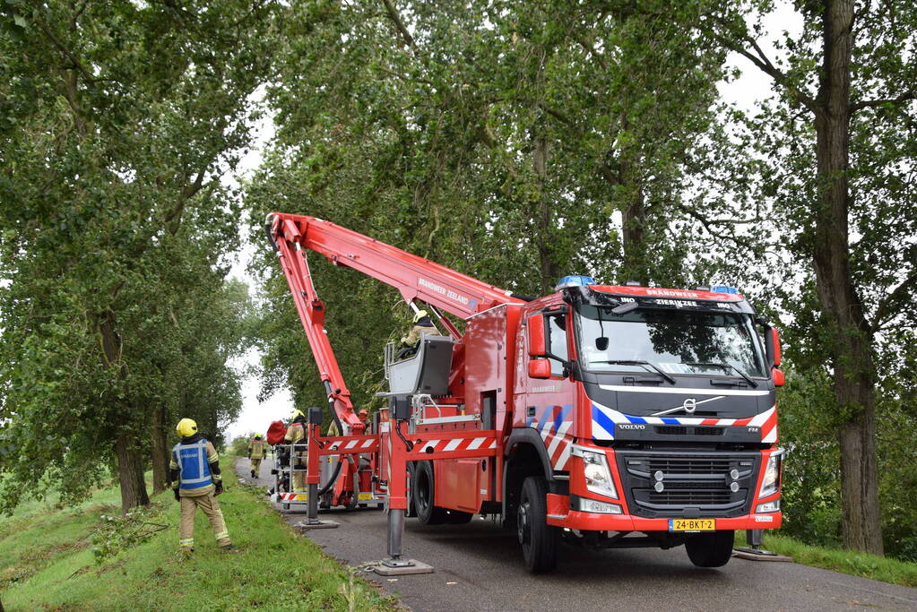 Brandweer ingezet voor afgebroken boom