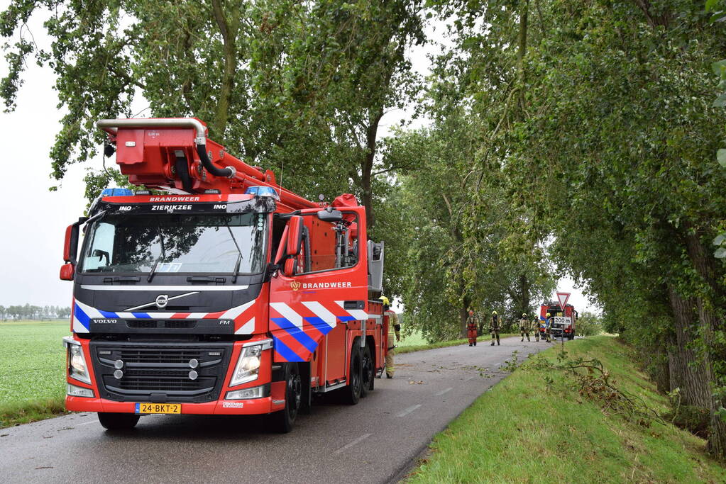 Brandweer ingezet voor afgebroken boom