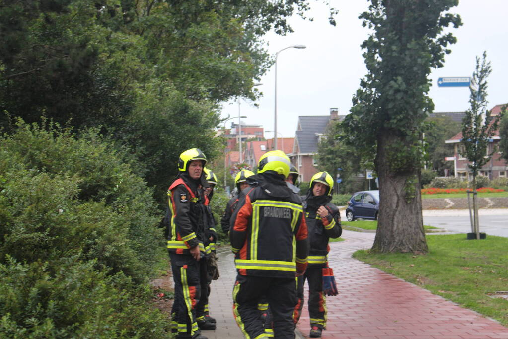 Takken van boom gezaagd na harde wind