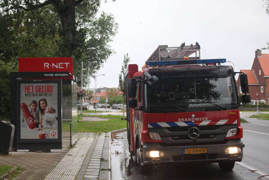 Takken van boom gezaagd na harde wind