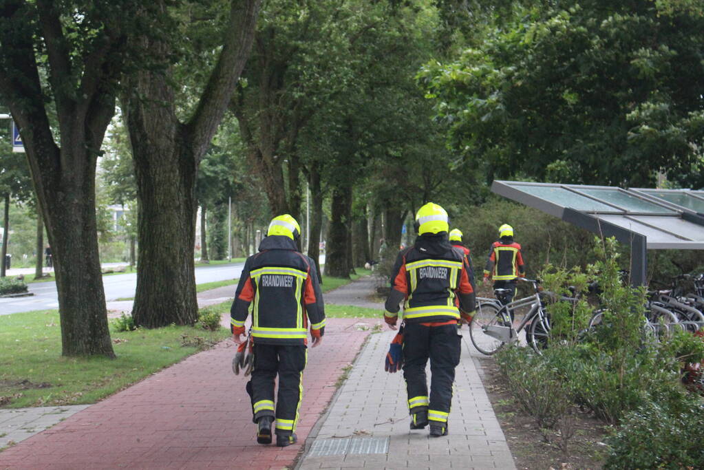 Takken van boom gezaagd na harde wind