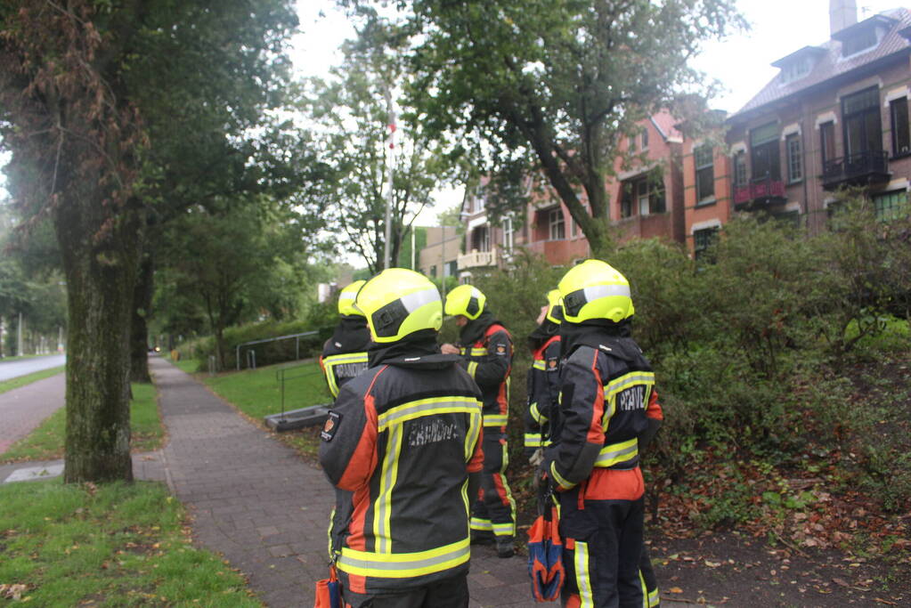 Takken van boom gezaagd na harde wind