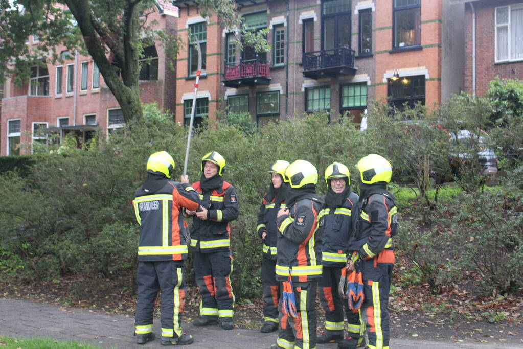 Takken van boom gezaagd na harde wind