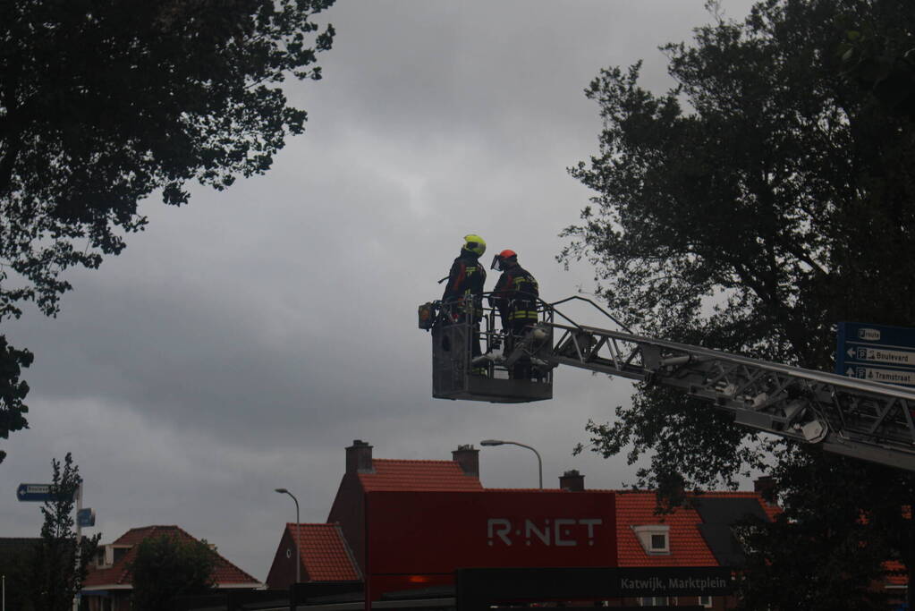 Takken van boom gezaagd na harde wind