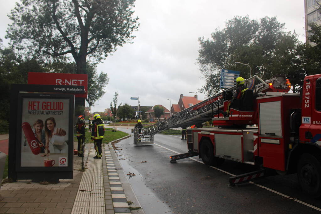 Takken van boom gezaagd na harde wind