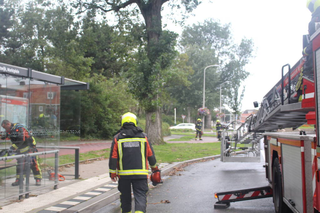 Takken van boom gezaagd na harde wind