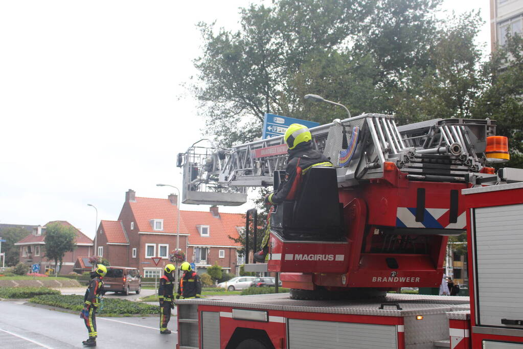 Takken van boom gezaagd na harde wind