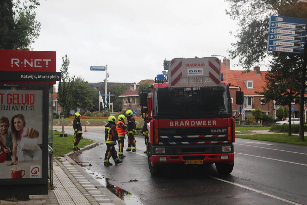 Takken van boom gezaagd na harde wind