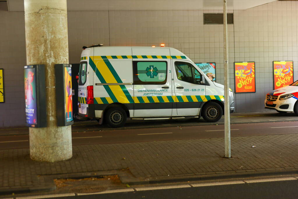 Treinverkeer stilgelegd vanwege aanrijding