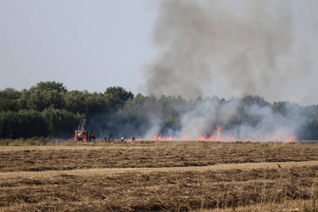 Grote brand op weiland