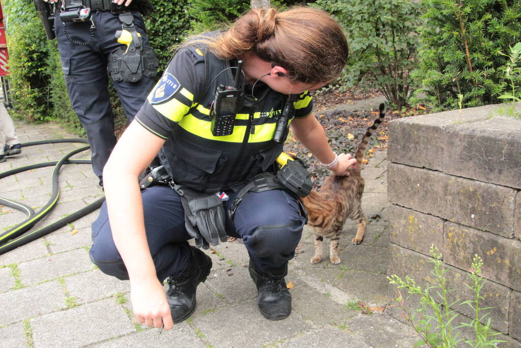 Brandweer redt kat uit brandende woning