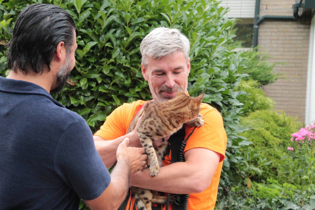 Brandweer redt kat uit brandende woning