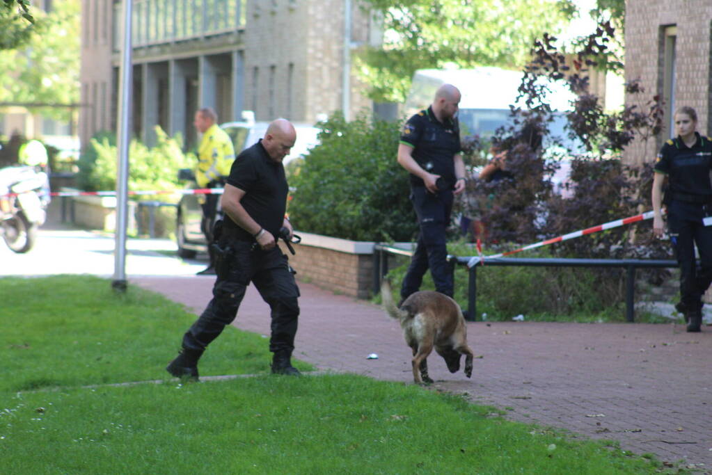 Grote politieinzet in woonwijk