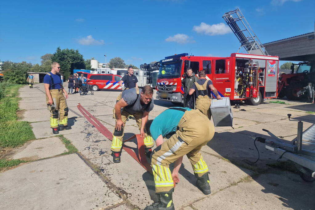 Brandweer redt paard uit sloot