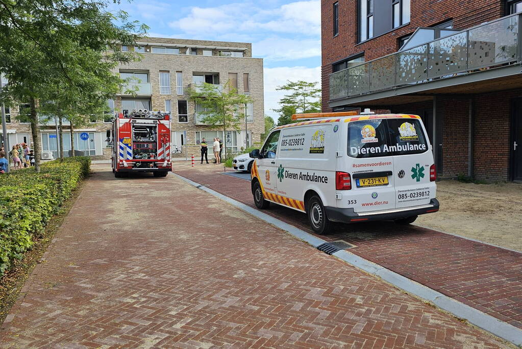 Bewoner gecontroleerd op inademen van rook bij keukenbrand