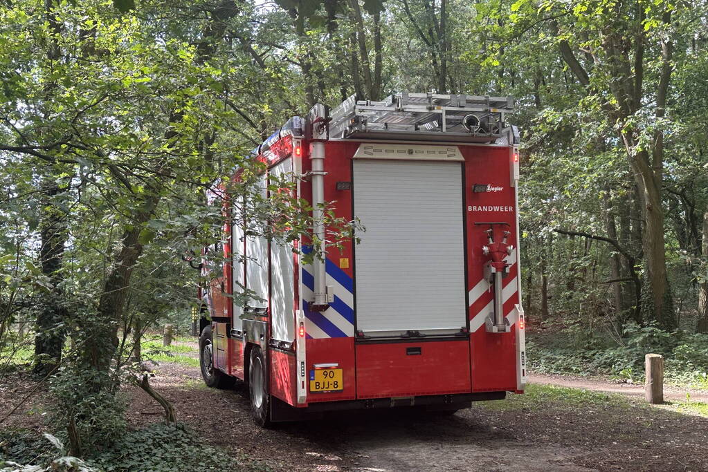 Brand in bosgebied snel onder controle