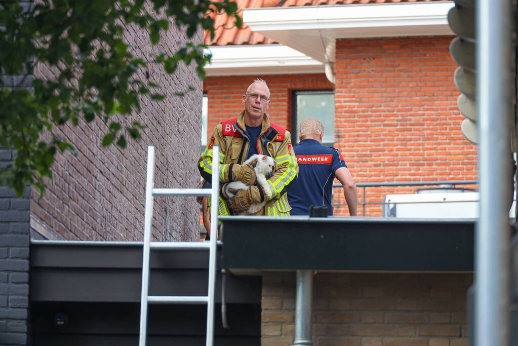 Kat Boris door brandweer van dak gehaald