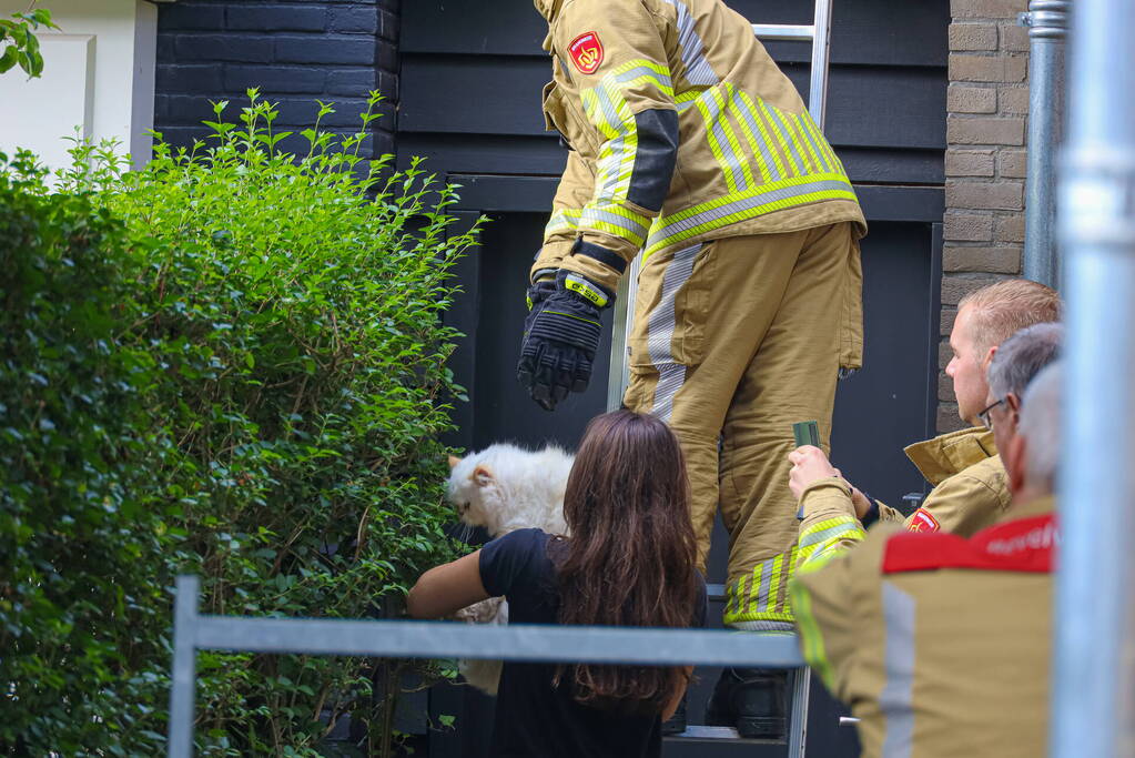 Kat Boris door brandweer van dak gehaald