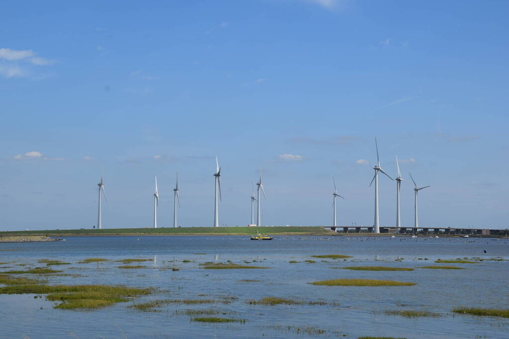 Onderzoek naar zien van stoffelijk overschot