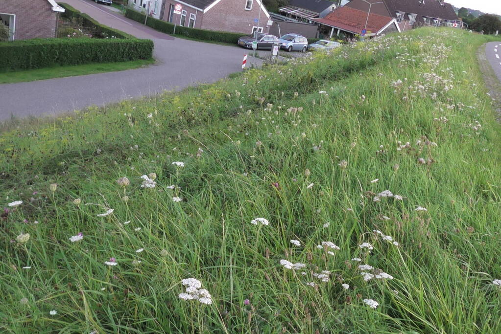 Motorrijder komt ten val