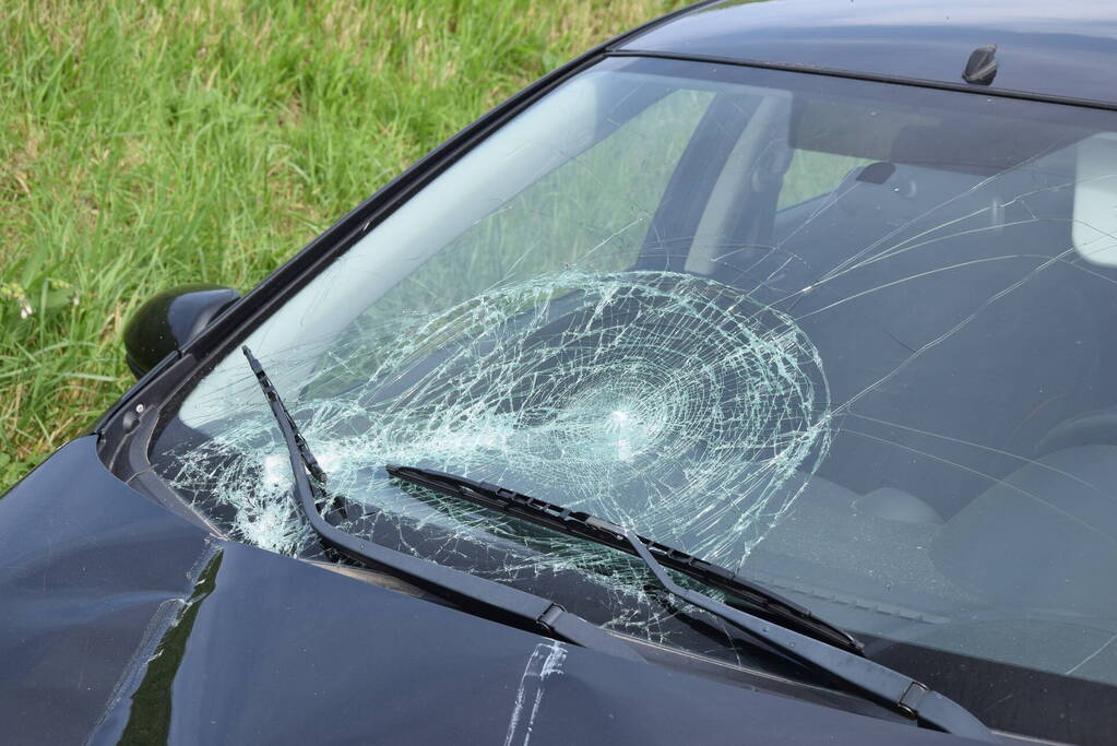 Automobilist raakt met hoge snelheid uit de bocht