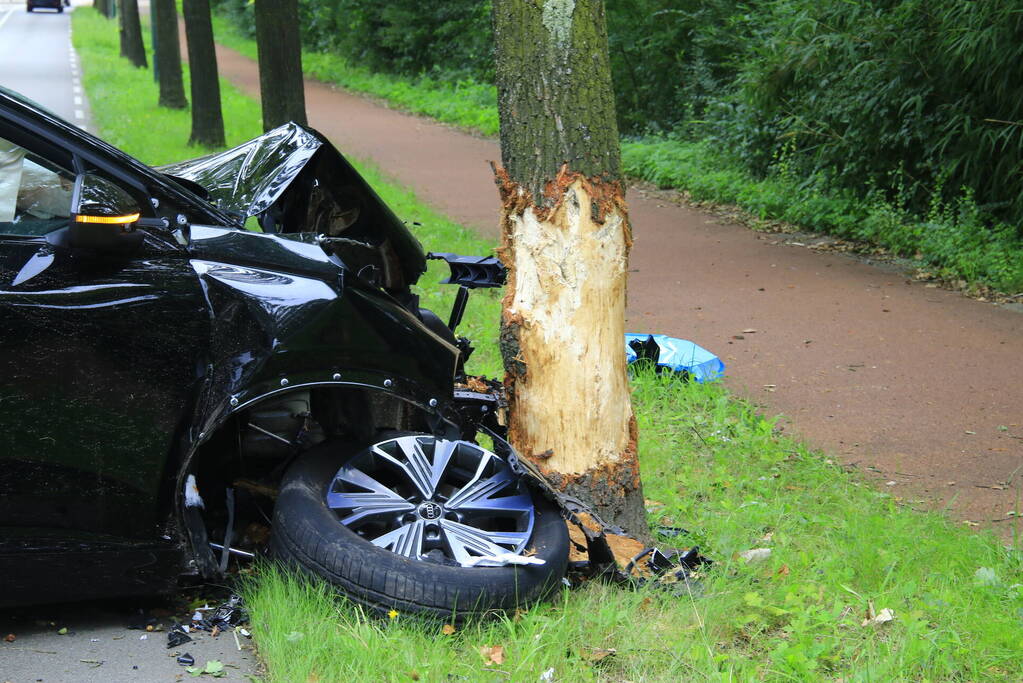 Automobilist knalt tegen boom aan