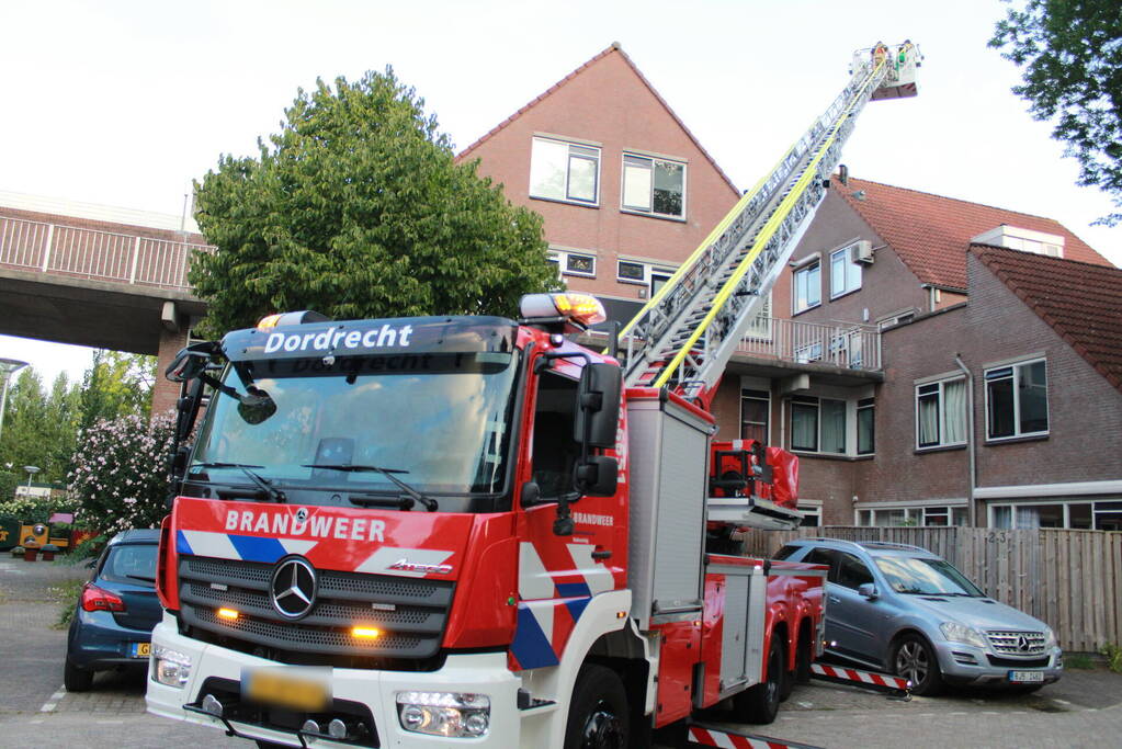 Brandweer redt kat van dak