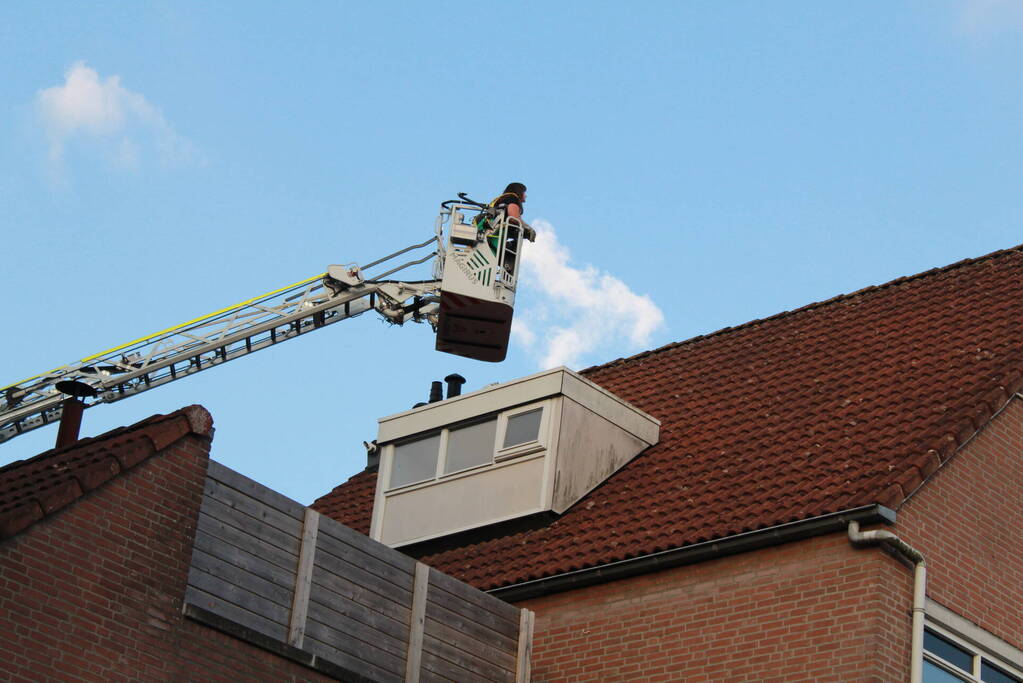 Brandweer redt kat van dak