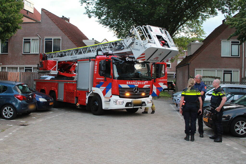 Brandweer redt kat van dak