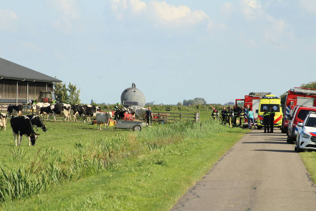 Gewonde nadat mestgassen vrijkomen in stal, drie koeien overleden