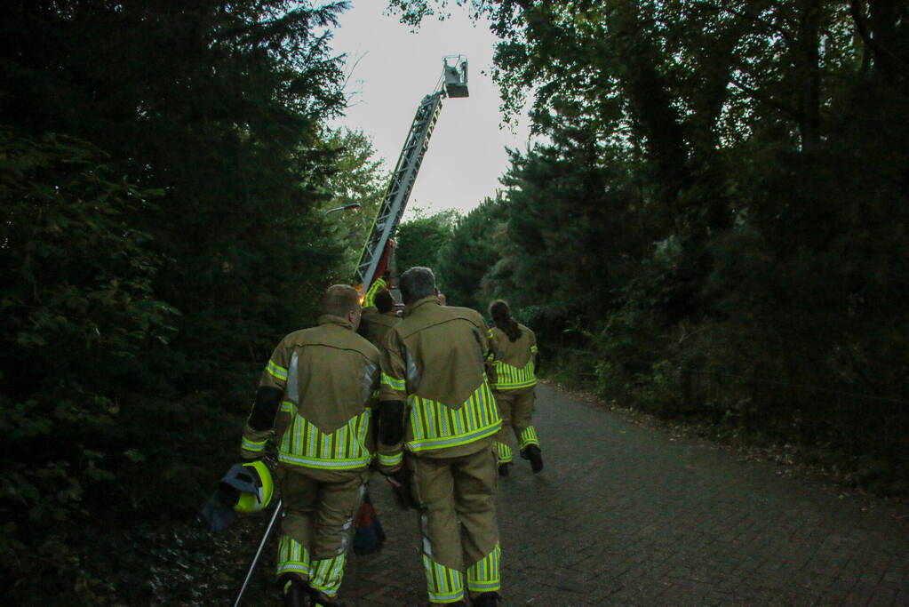 Brandweer verwijdert loshangende takken