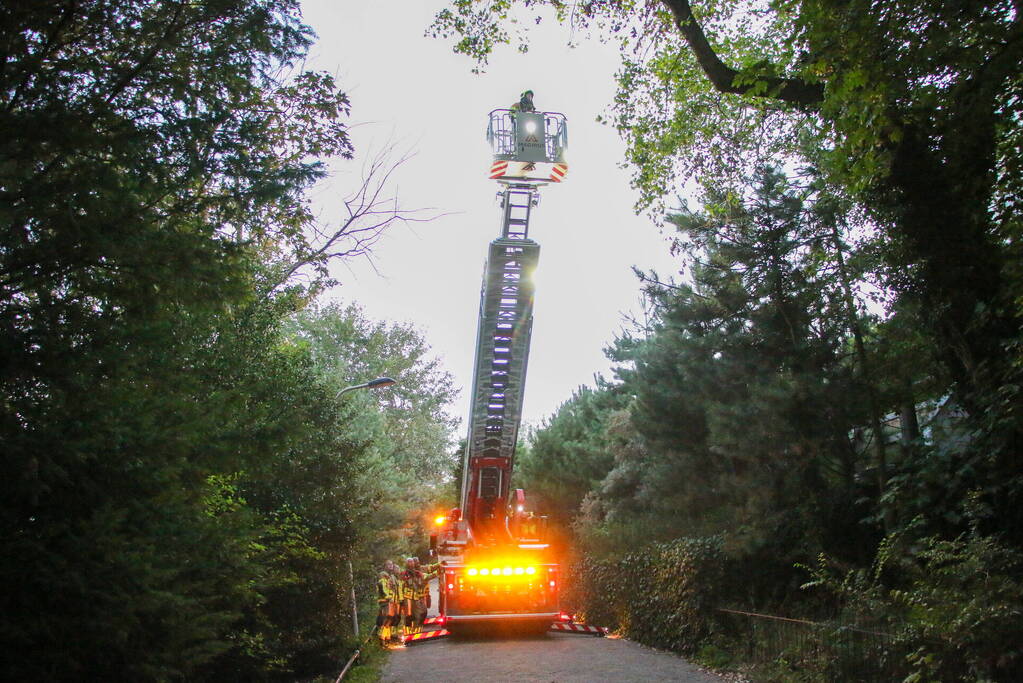 Brandweer verwijdert loshangende takken