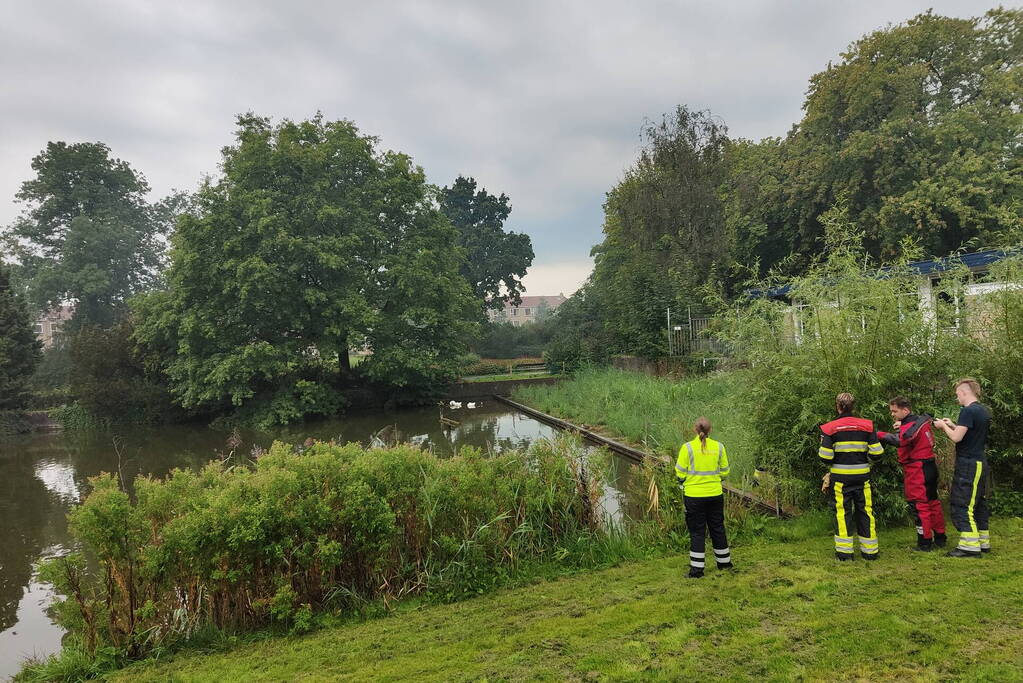 Eend raakt met snavel verstrikt in visdraad