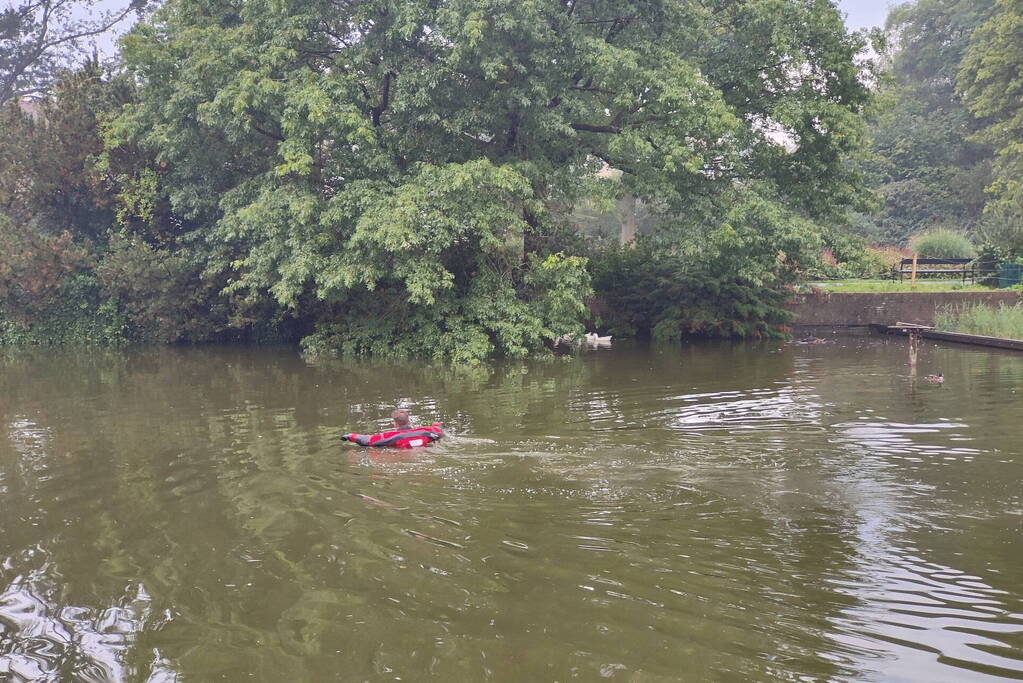 Eend raakt met snavel verstrikt in visdraad