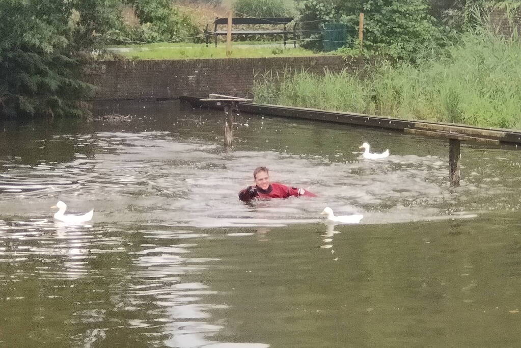 Eend raakt met snavel verstrikt in visdraad