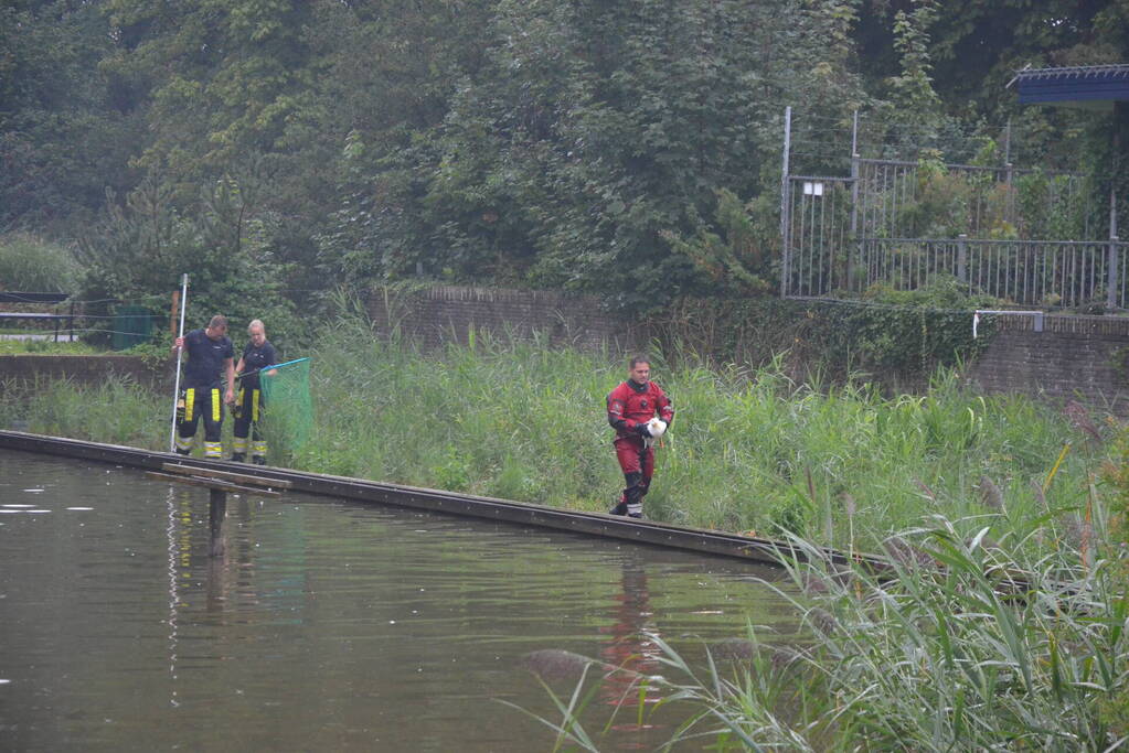 Eend raakt met snavel verstrikt in visdraad