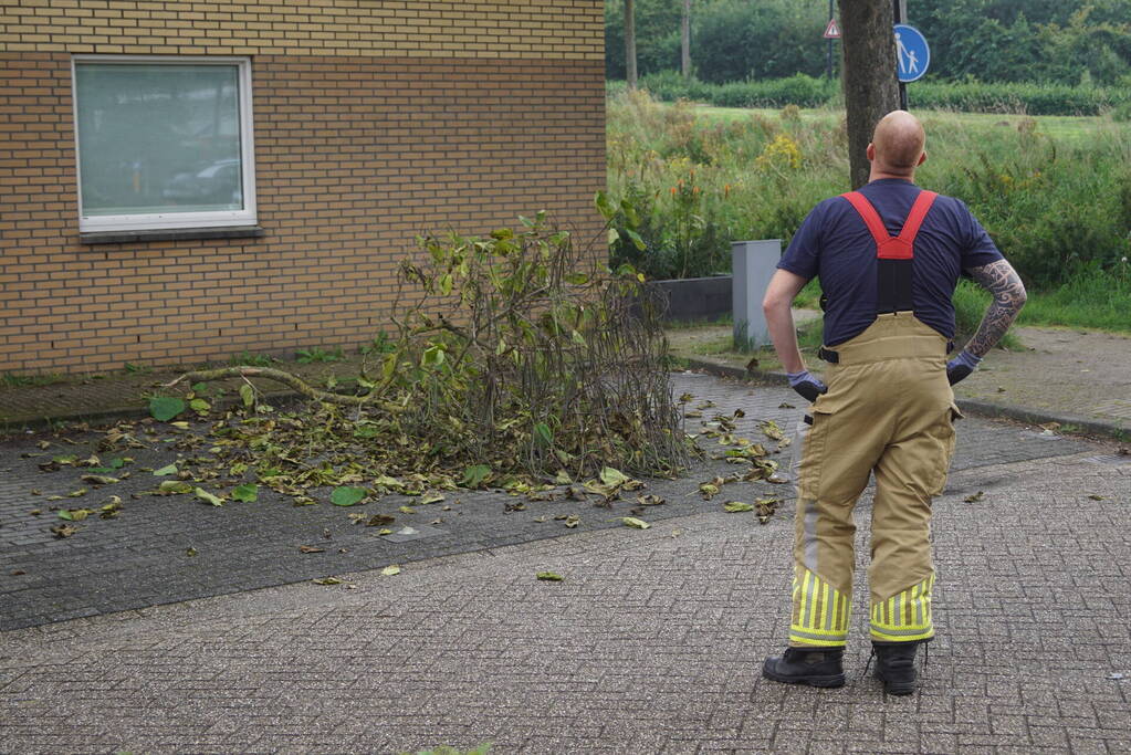 Takken dreigen op parkeerplaats te vallen