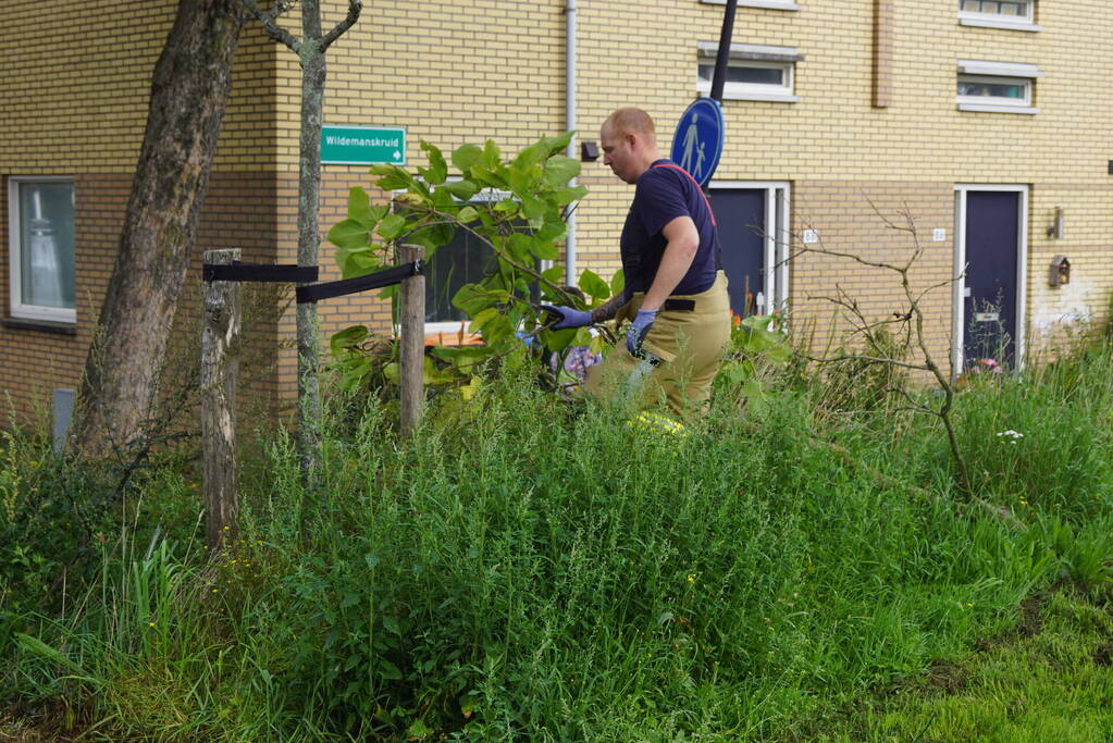 Takken dreigen op parkeerplaats te vallen