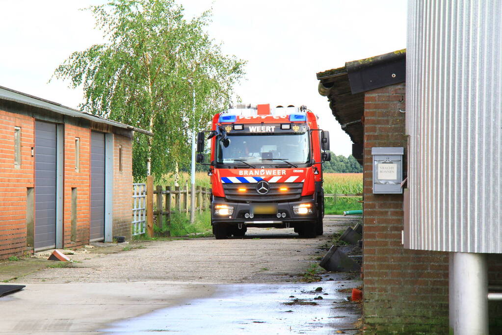 Brandweer ingezet voor dier in de problemen in koeienstal