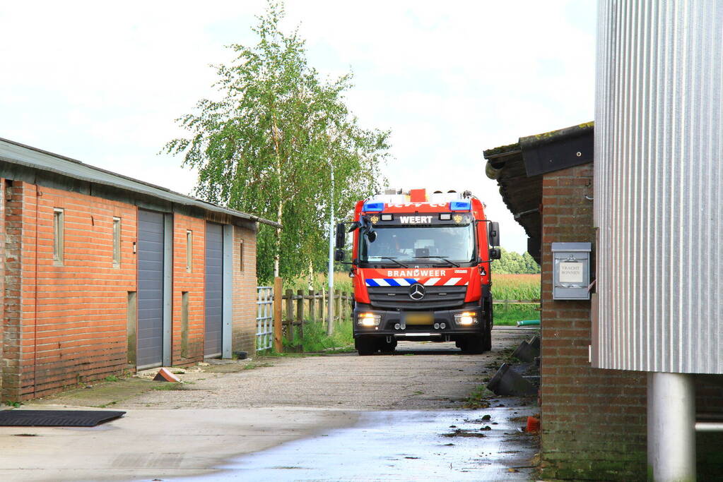 Brandweer ingezet voor dier in de problemen in koeienstal