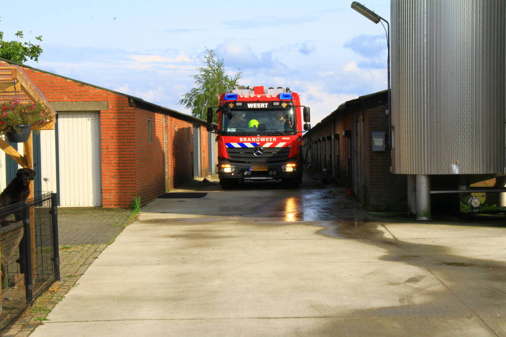 Brandweer ingezet voor dier in de problemen in koeienstal