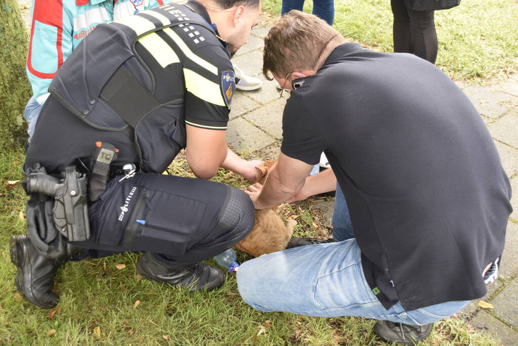 Woning in flat brandt volledig uit