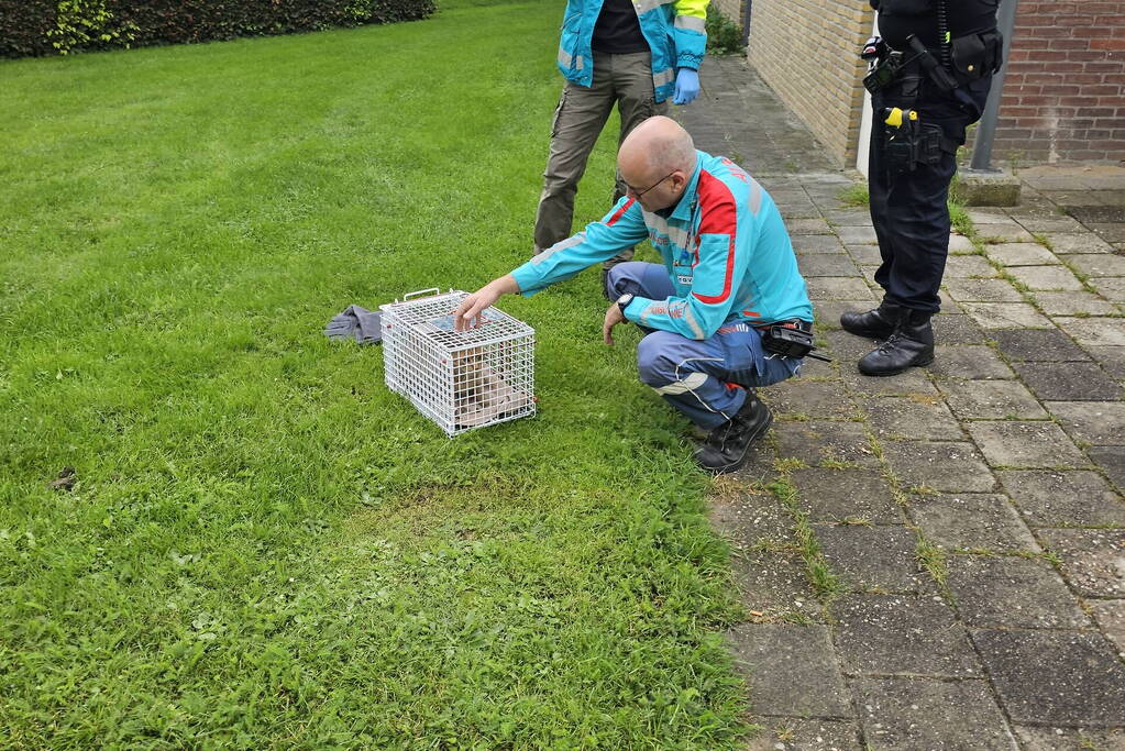 Woning in flat brandt volledig uit