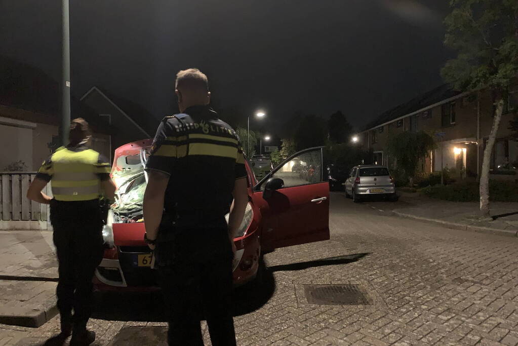 Tweede autobrand in korte tijd