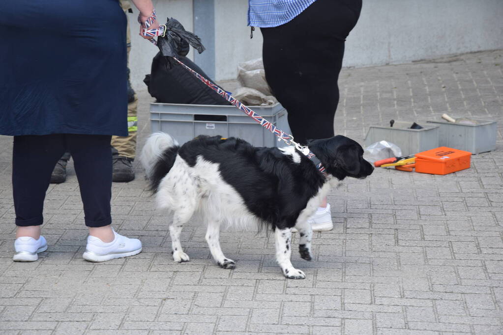 Hond per ongeluk opgesloten in warme auto, brandweer slaat raam in