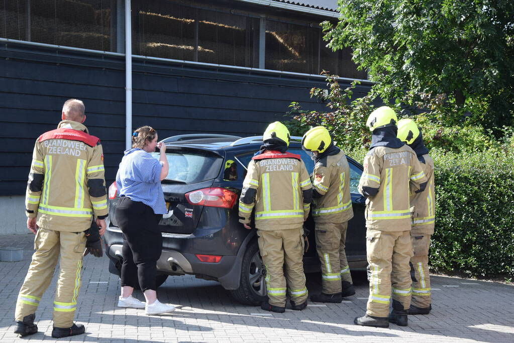 Hond per ongeluk opgesloten in warme auto, brandweer slaat raam in