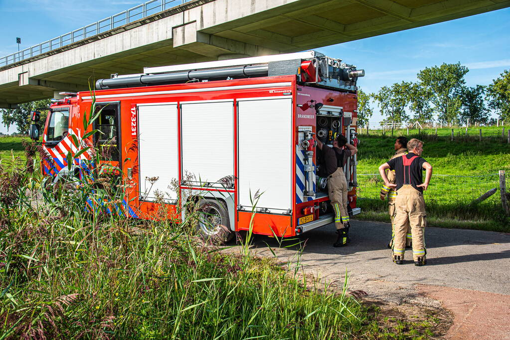 Brandweer ingezet voor paard in diepe sloot