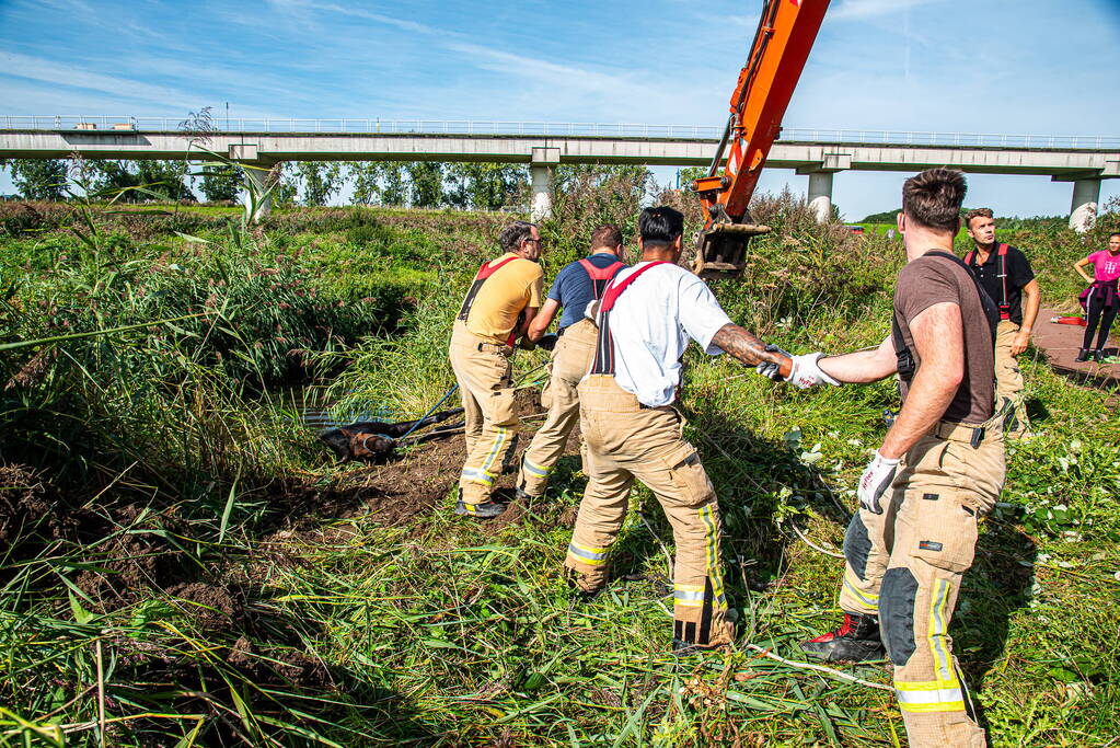 Brandweer ingezet voor paard in diepe sloot